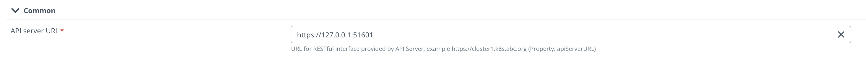 api server url